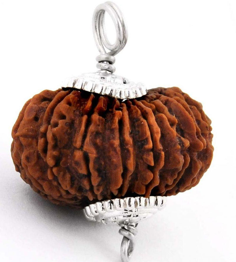 14 Mukhi Rudraksha Pendant: Unleash Paramshiva's Power | Brahmatells - BrahmatellsStore