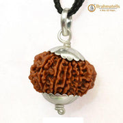 14 Mukhi Rudraksha Pendant: Unleash Paramshiva's Power | Brahmatells - BrahmatellsStore