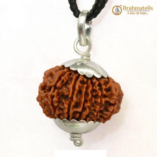 14 Mukhi Rudraksha Pendant: Unleash Paramshiva's Power | Brahmatells - BrahmatellsStore