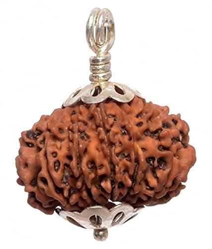 14 Mukhi Rudraksha Silver Pendant - Harness the Power of Paramshiva | Brahmatells - BrahmatellsStore
