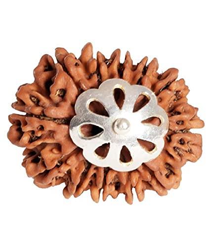 14 Mukhi Rudraksha Silver Pendant - Harness the Power of Paramshiva | Brahmatells - BrahmatellsStore