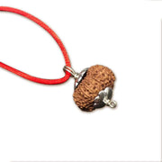 15 Mukhi Rudraksha Silver Pendant - Unleash Jupiter's Blessings | Brahmatells - BrahmatellsStore