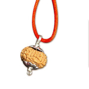 15 Mukhi Rudraksha Silver Pendant - Unleash Jupiter's Blessings | Brahmatells - BrahmatellsStore