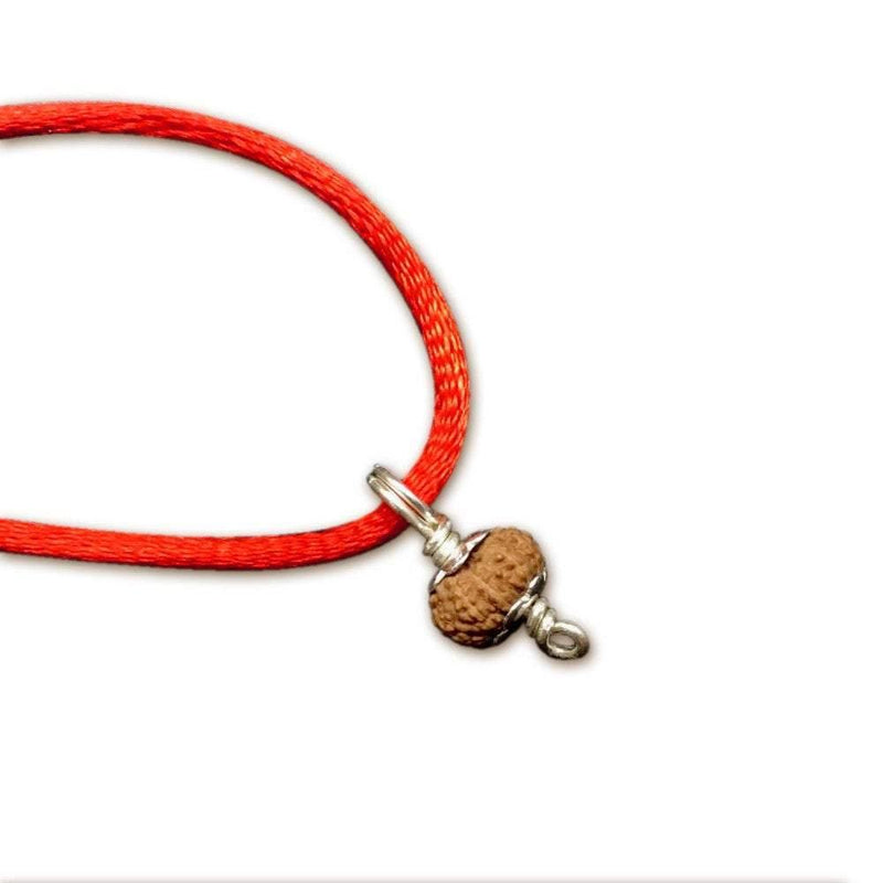 15 Mukhi Rudraksha Silver Pendant - Unleash Jupiter's Blessings | Brahmatells - BrahmatellsStore