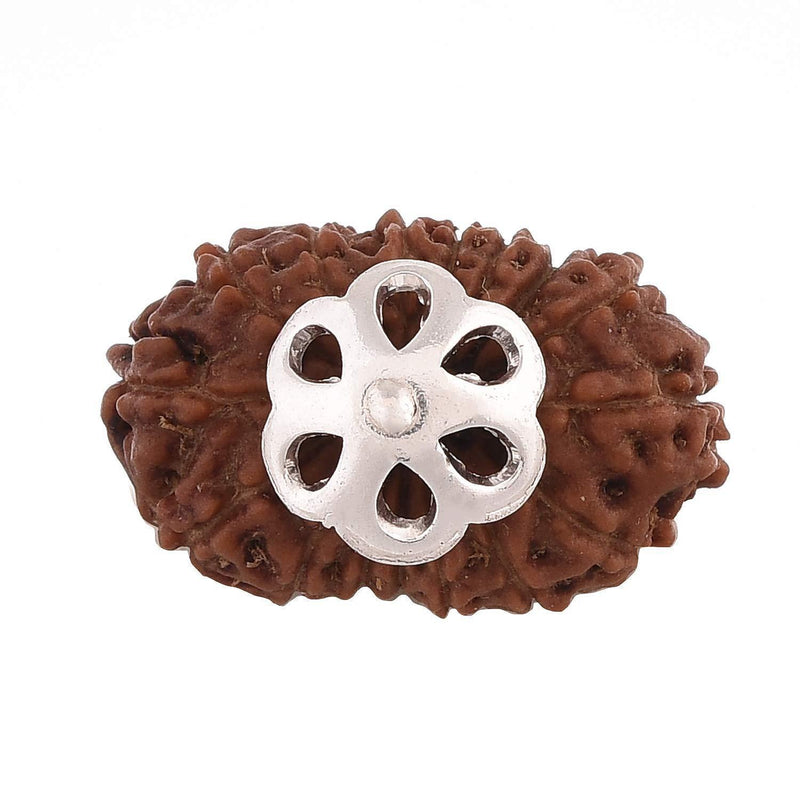 16 Mukhi Rudraksha Pendant - Triumph & Protection | Brahmatells - BrahmatellsStore
