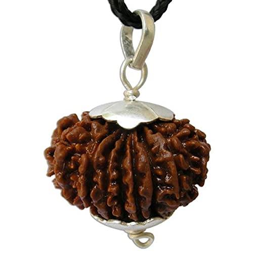 17 Mukhi Rudraksha Silver Pendant - Empowerment & Prosperity | Brahmatells - BrahmatellsStore