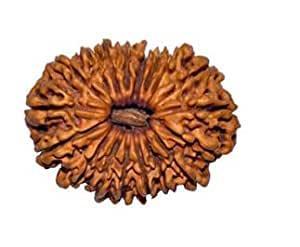 18 Mukhi Rudraksha Bead - Prosperity & Protection | Brahmatells - BrahmatellsStore