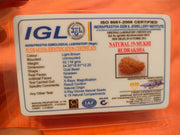 19 Mukhi Rudraksha Java - Divine Power of Lord Narayana | Brahmatells - BrahmatellsStore