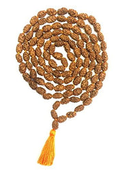 2 Mukhi Rudraksh Mala for Spiritual Harmony | Brahmatells - BrahmatellsStore