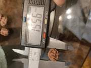 2 Mukhi Rudraksha Bead - Uniting Shiva & Shakti | Brahmatells - BrahmatellsStore