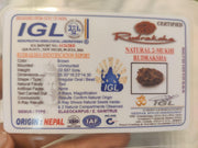 2 Mukhi Rudraksha Bead - Uniting Shiva & Shakti | Brahmatells - BrahmatellsStore