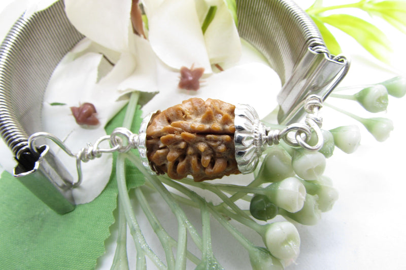 2 Mukhi Rudraksha Bracelet - Harmony & Balance | Brahmatells - BrahmatellsStore