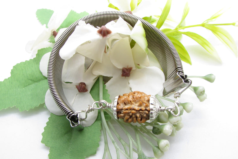 2 Mukhi Rudraksha Bracelet - Harmony & Balance | Brahmatells - BrahmatellsStore