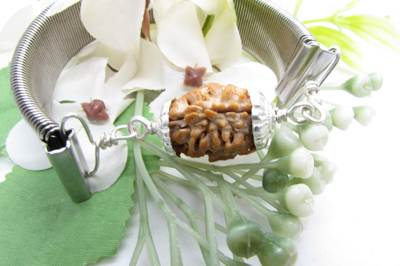 2 Mukhi Rudraksha Bracelet - Harmony & Balance | Brahmatells - BrahmatellsStore