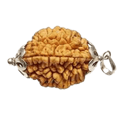 2 Mukhi Rudraksha Pendant: Harmonizing Dual Energies | Brahmatells - BrahmatellsStore