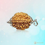 2 Mukhi Rudraksha Pendant: Harmonizing Dual Energies | Brahmatells - BrahmatellsStore