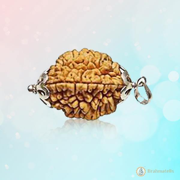 2 Mukhi Rudraksha Pendant: Harmonizing Dual Energies | Brahmatells - BrahmatellsStore