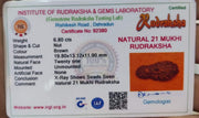 21 Mukhi Rudraksha Java - Attain Kubera's Wealth & Protection | Brahmatells - BrahmatellsStore