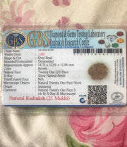 21 Mukhi Rudraksha Java - Attain Kubera's Wealth & Protection | Brahmatells - BrahmatellsStore