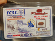 21 Mukhi Rudraksha Java - Attain Kubera's Wealth & Protection | Brahmatells - BrahmatellsStore