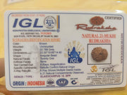 21 Mukhi Rudraksha Java - Attain Kubera's Wealth & Protection | Brahmatells - BrahmatellsStore