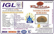 21 Mukhi Rudraksha Java - Attain Kubera's Wealth & Protection | Brahmatells - BrahmatellsStore