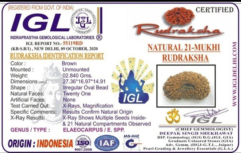 21 Mukhi Rudraksha Java - Attain Kubera's Wealth & Protection | Brahmatells - BrahmatellsStore