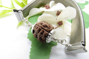 3 Mukhi Rudraksha Bracelet - Empowerment & Vitality | Brahmatells - BrahmatellsStore
