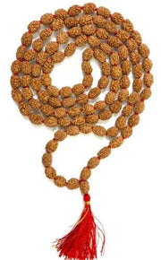 3 Mukhi Rudraksha Mala: Unleash Your Inner Fire | Brahmatells - BrahmatellsStore