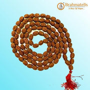 3 Mukhi Rudraksha Mala: Unleash Your Inner Fire | Brahmatells - BrahmatellsStore