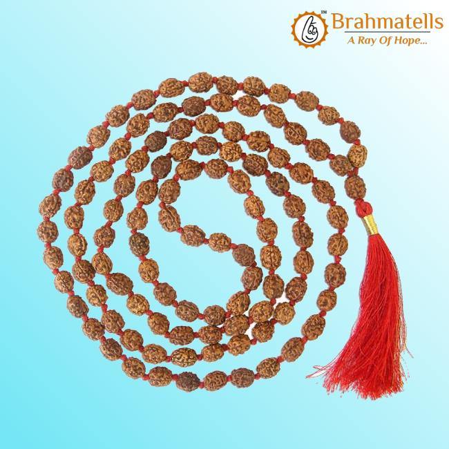 3 Mukhi Rudraksha Mala: Unleash Your Inner Fire | Brahmatells - BrahmatellsStore