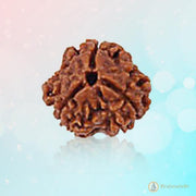 3 Mukhi Rudraksha Pendant - Embrace Agni's Transformative Power | Brahmatells - BrahmatellsStore