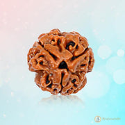 3 Mukhi Rudraksha Pendant - Harness Agni's Fiery Power | Brahmatells - BrahmatellsStore