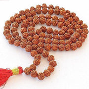 4 Mukhi Rudraksha Mala - A Gateway to Intellectual Awakening | Brahmatells - BrahmatellsStore