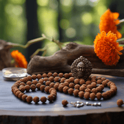 4 Mukhi Rudraksha Mala - A Gateway to Intellectual Awakening | Brahmatells - BrahmatellsStore