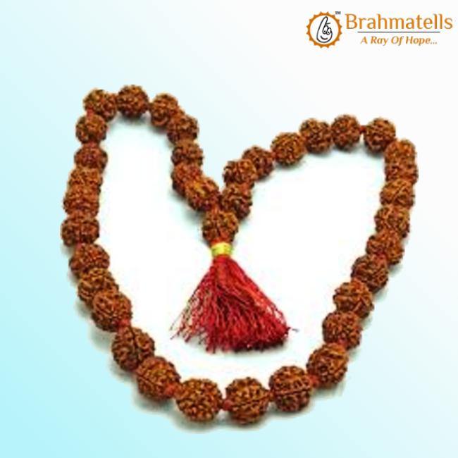 4 Mukhi Rudraksha Mala - A Gateway to Intellectual Awakening | Brahmatells - BrahmatellsStore