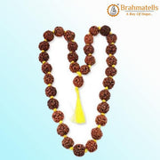 4 Mukhi Rudraksha Mala - A Gateway to Intellectual Awakening | Brahmatells - BrahmatellsStore