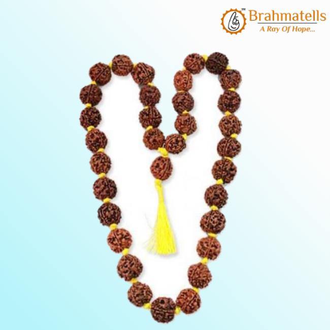 4 Mukhi Rudraksha Mala - A Gateway to Intellectual Awakening | Brahmatells - BrahmatellsStore