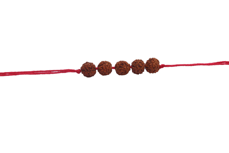 5 Mukhi Rudraksha Band - BrahmatellsStore