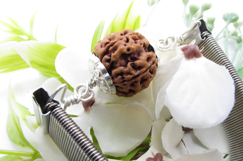 5 Mukhi Rudraksha Bracelet with Silver Pendant - Spiritual Elegance | Brahmatells - BrahmatellsStore