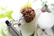 5 Mukhi Rudraksha Bracelet with Silver Pendant - Spiritual Elegance | Brahmatells - BrahmatellsStore