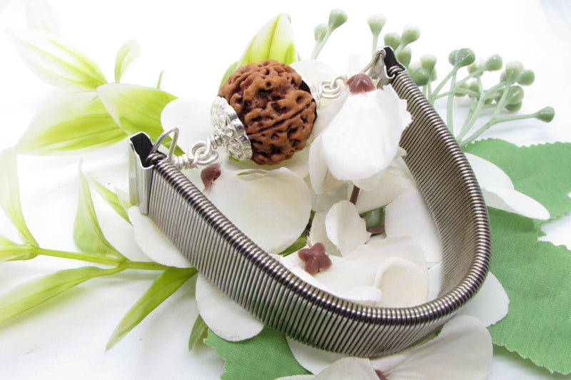 5 Mukhi Rudraksha Bracelet with Silver Pendant - Spiritual Elegance | Brahmatells - BrahmatellsStore