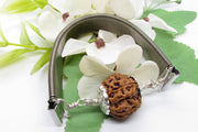 5 Mukhi Rudraksha Bracelet with Silver Pendant - Spiritual Elegance | Brahmatells - BrahmatellsStore