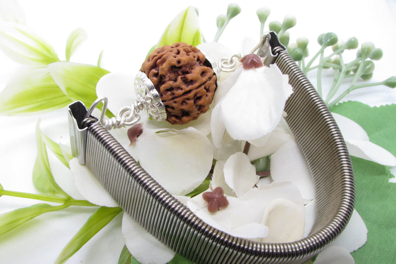 5 Mukhi Rudraksha Bracelet with Silver Pendant - Spiritual Elegance | Brahmatells - BrahmatellsStore