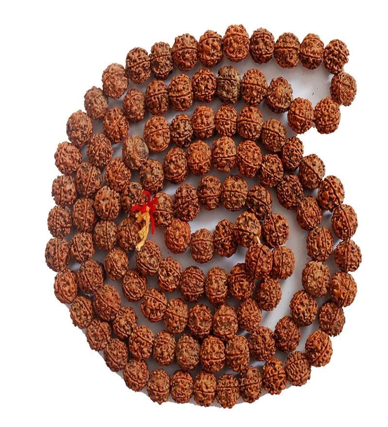 5 Mukhi Rudraksha Mala for Meditation & Harmony | Brahmatells - BrahmatellsStore