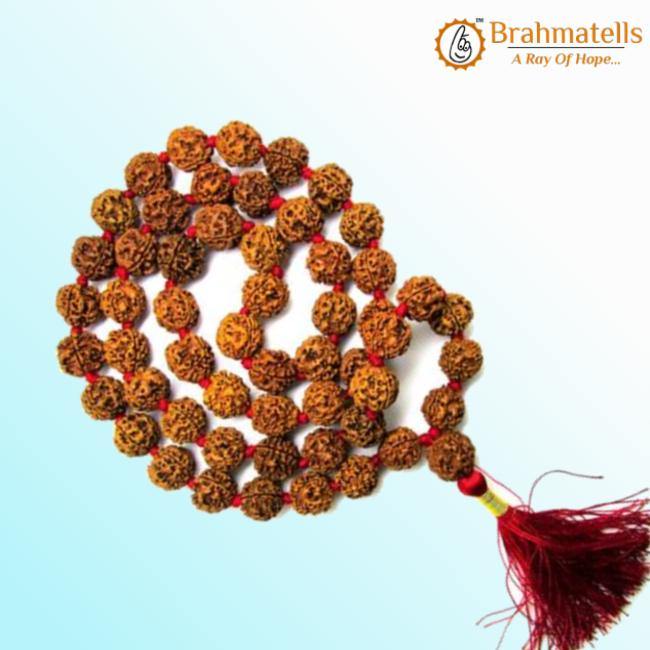 5 Mukhi Rudraksha Mala for Meditation & Harmony | Brahmatells - BrahmatellsStore