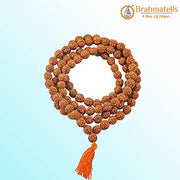 5 Mukhi Rudraksha Mala for Meditation & Harmony | Brahmatells - BrahmatellsStore