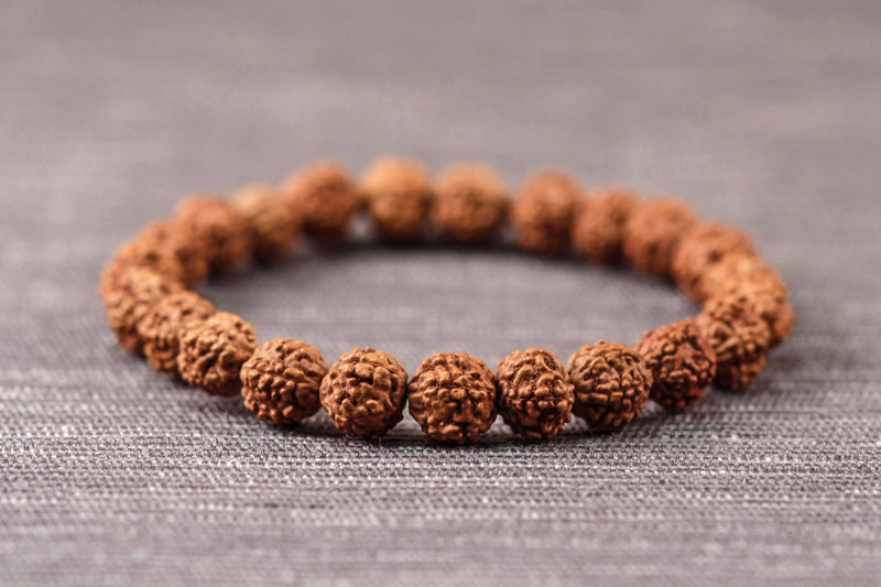 5 Mukhi Rudraksha Seed Stretch Bracelet - BrahmatellsStore