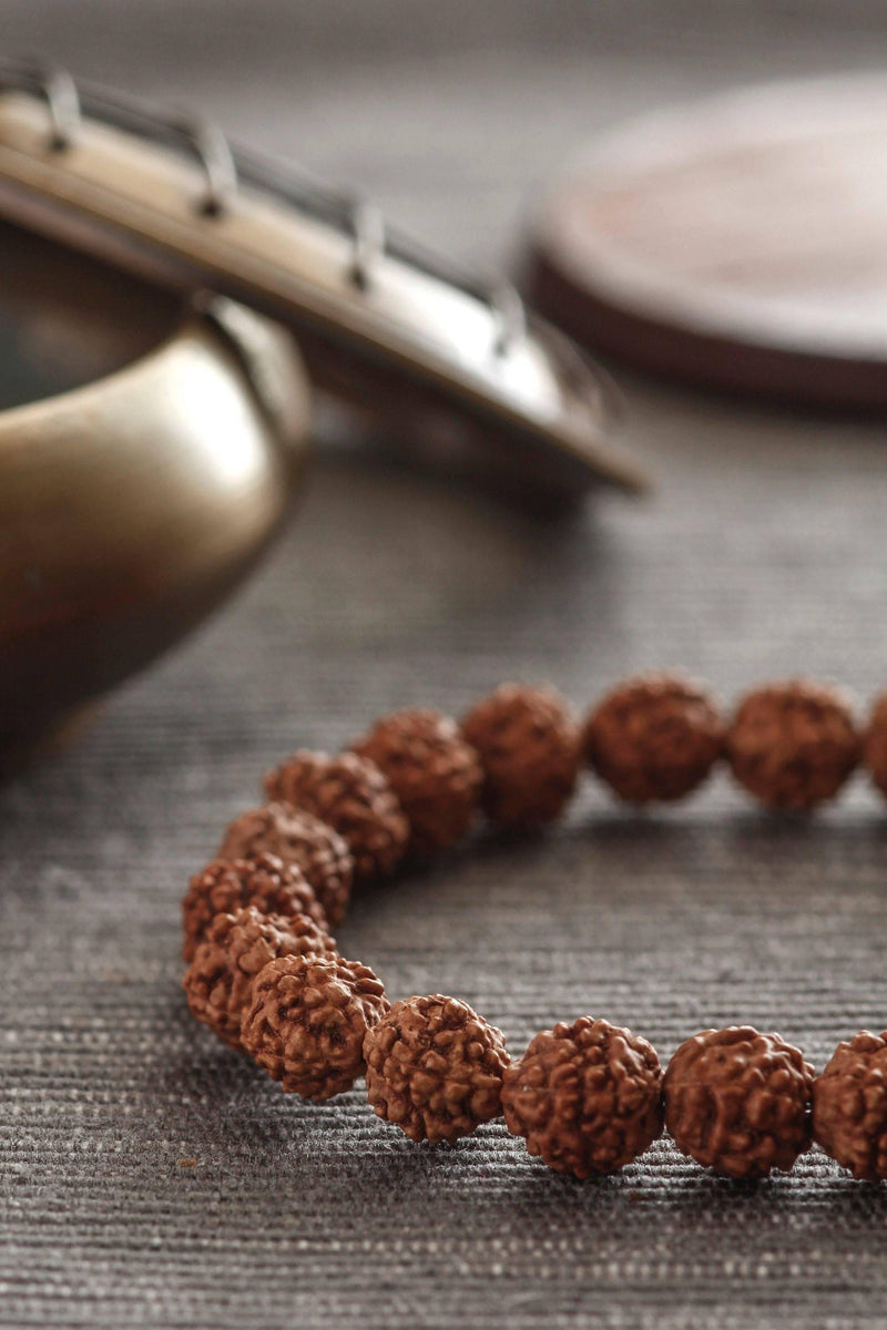 5 Mukhi Rudraksha Seed Stretch Bracelet - BrahmatellsStore