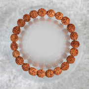 5 Mukhi Rudraksha Seed Stretch Bracelet - BrahmatellsStore